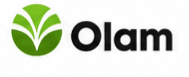 Olam